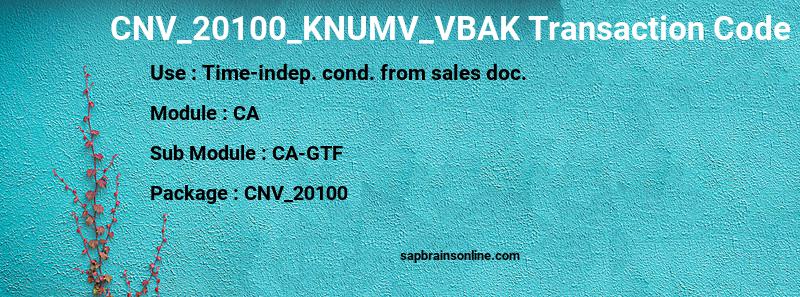 SAP CNV_20100_KNUMV_VBAK transaction code