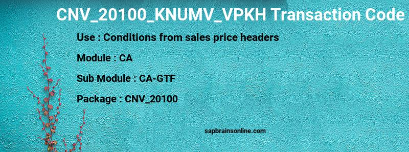 SAP CNV_20100_KNUMV_VPKH transaction code