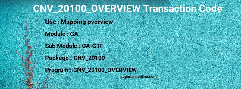 SAP CNV_20100_OVERVIEW transaction code