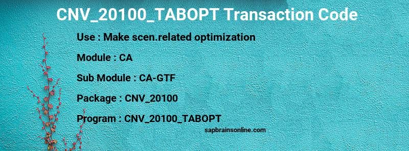 SAP CNV_20100_TABOPT transaction code