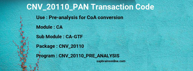 SAP CNV_20110_PAN transaction code