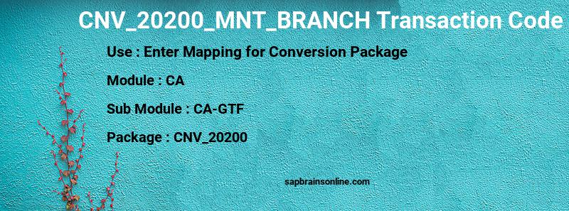 SAP CNV_20200_MNT_BRANCH transaction code