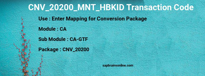 SAP CNV_20200_MNT_HBKID transaction code
