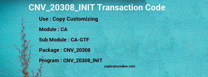 SAP CNV_20308_INIT transaction code
