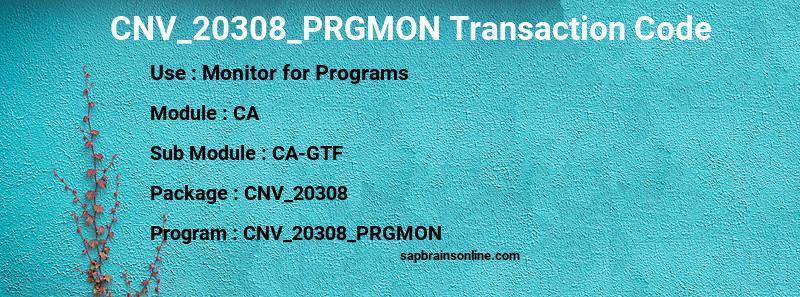 SAP CNV_20308_PRGMON transaction code