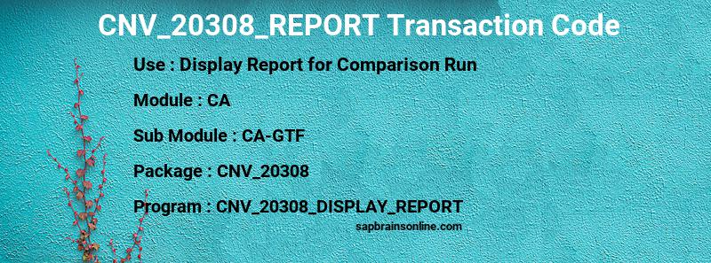 SAP CNV_20308_REPORT transaction code