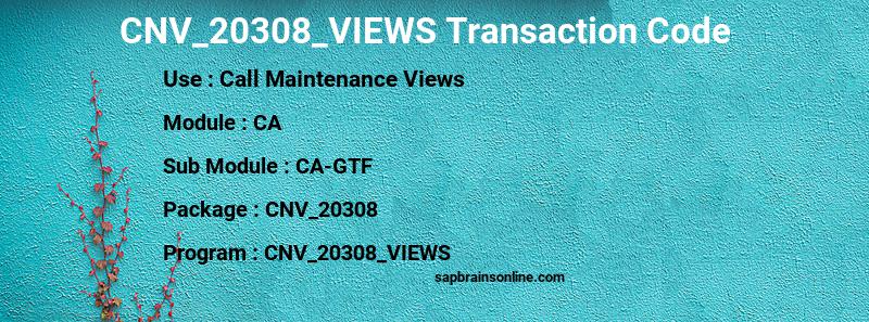 SAP CNV_20308_VIEWS transaction code