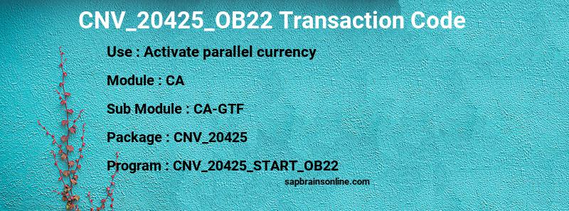 SAP CNV_20425_OB22 transaction code