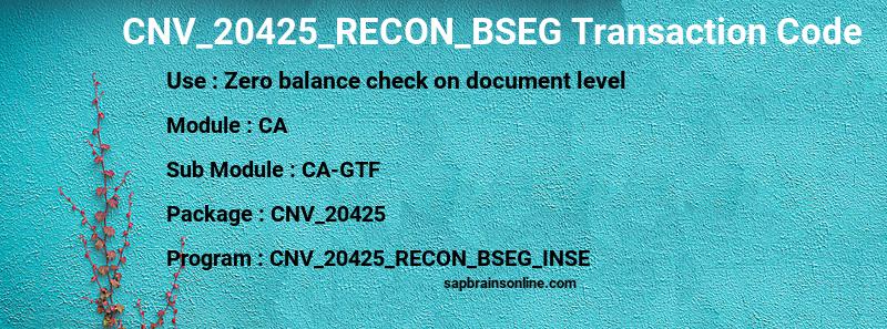SAP CNV_20425_RECON_BSEG transaction code