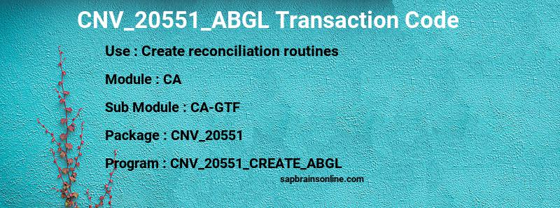 SAP CNV_20551_ABGL transaction code