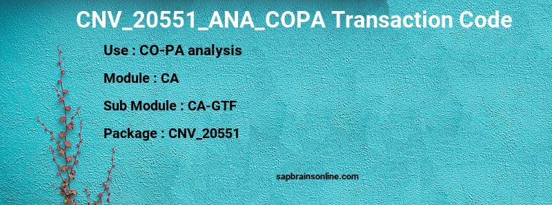 SAP CNV_20551_ANA_COPA transaction code