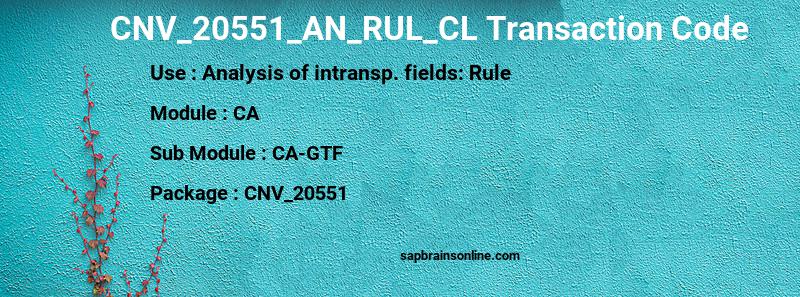 SAP CNV_20551_AN_RUL_CL transaction code