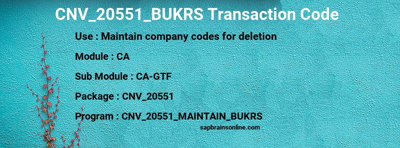 SAP CNV_20551_BUKRS transaction code