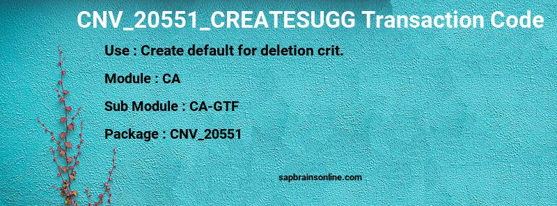 SAP CNV_20551_CREATESUGG transaction code