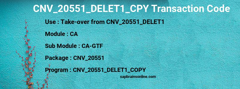SAP CNV_20551_DELET1_CPY transaction code
