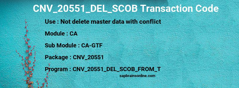 SAP CNV_20551_DEL_SCOB transaction code