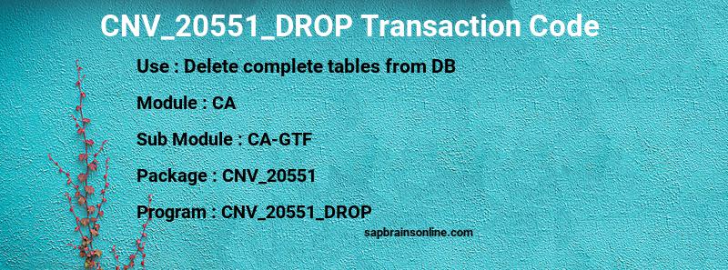 SAP CNV_20551_DROP transaction code