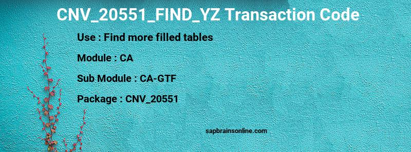 SAP CNV_20551_FIND_YZ transaction code
