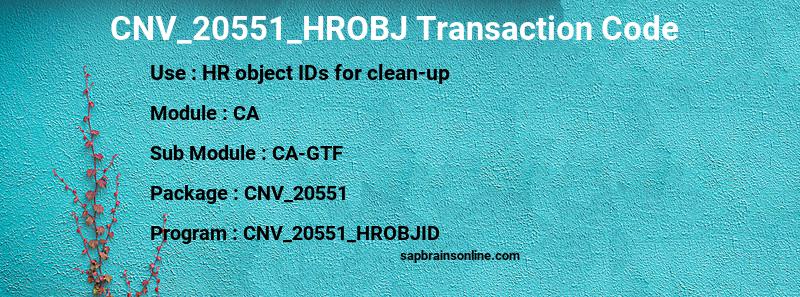 SAP CNV_20551_HROBJ transaction code