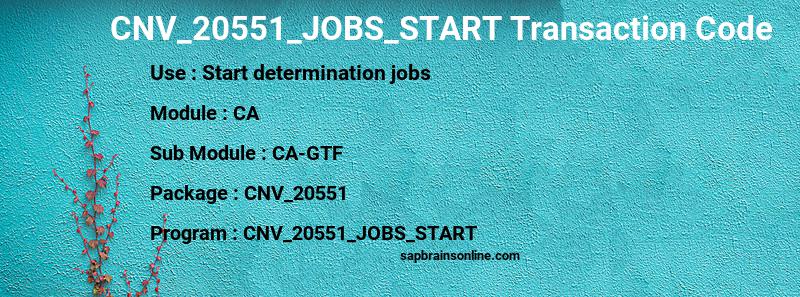 SAP CNV_20551_JOBS_START transaction code