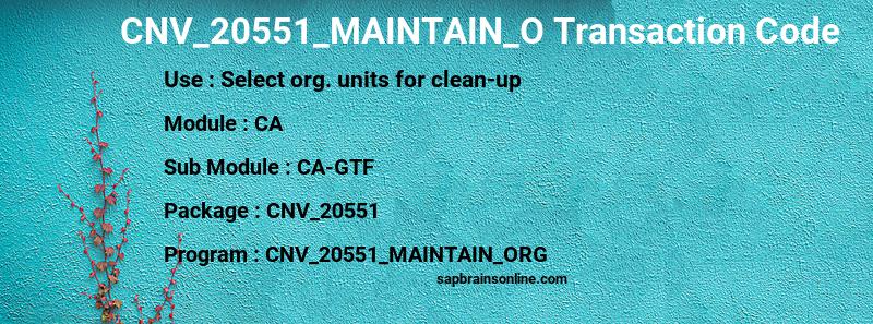 SAP CNV_20551_MAINTAIN_O transaction code