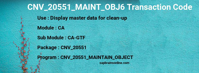 SAP CNV_20551_MAINT_OBJ6 transaction code