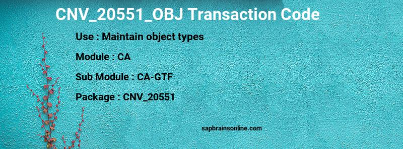 SAP CNV_20551_OBJ transaction code