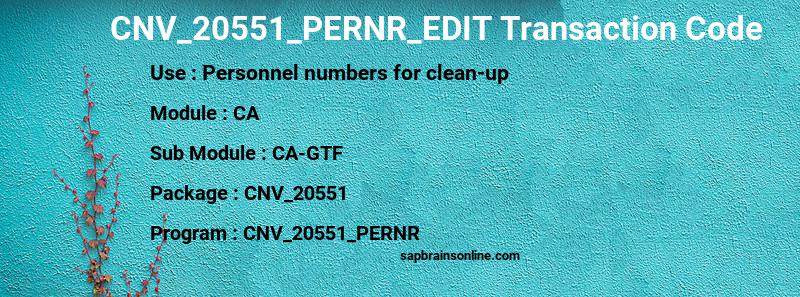 SAP CNV_20551_PERNR_EDIT transaction code