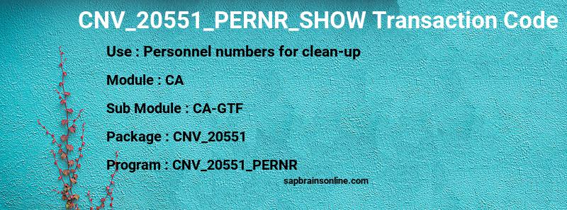 SAP CNV_20551_PERNR_SHOW transaction code