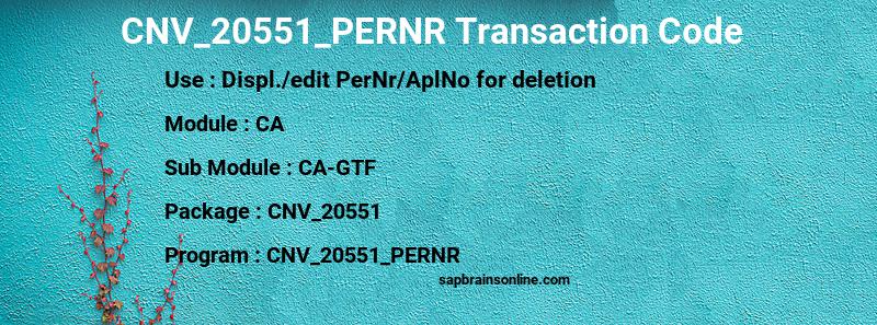 SAP CNV_20551_PERNR transaction code