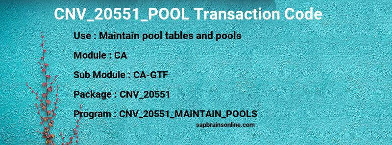 SAP CNV_20551_POOL transaction code