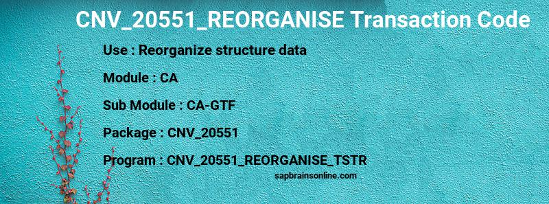SAP CNV_20551_REORGANISE transaction code