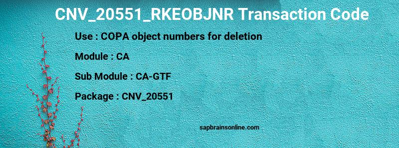 SAP CNV_20551_RKEOBJNR transaction code