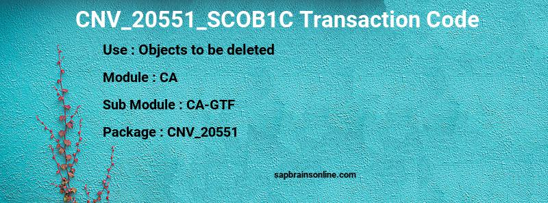 SAP CNV_20551_SCOB1C transaction code
