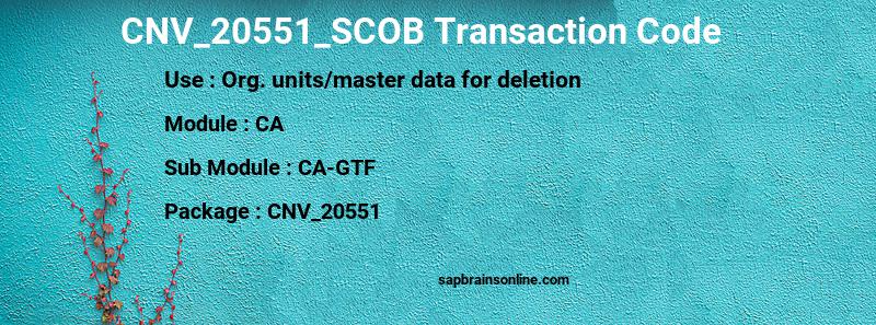 SAP CNV_20551_SCOB transaction code