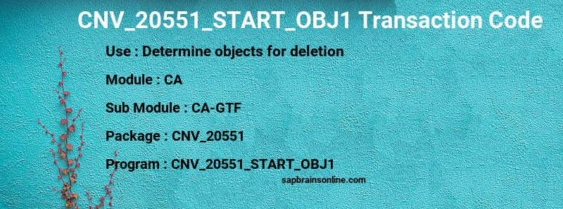 SAP CNV_20551_START_OBJ1 transaction code