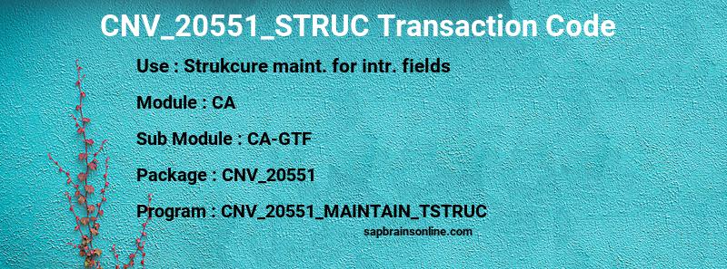 SAP CNV_20551_STRUC transaction code