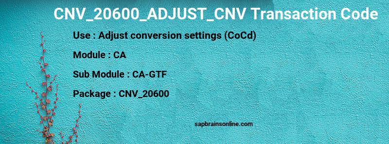 SAP CNV_20600_ADJUST_CNV transaction code