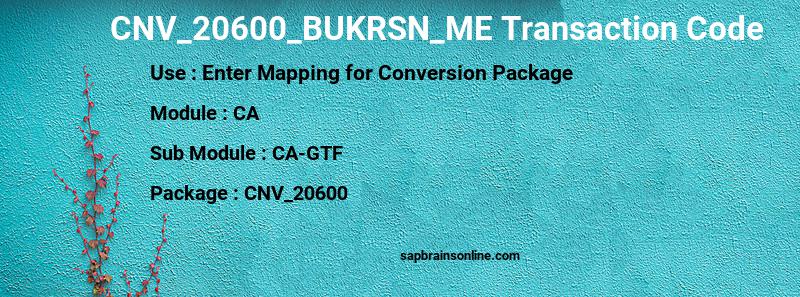 SAP CNV_20600_BUKRSN_ME transaction code