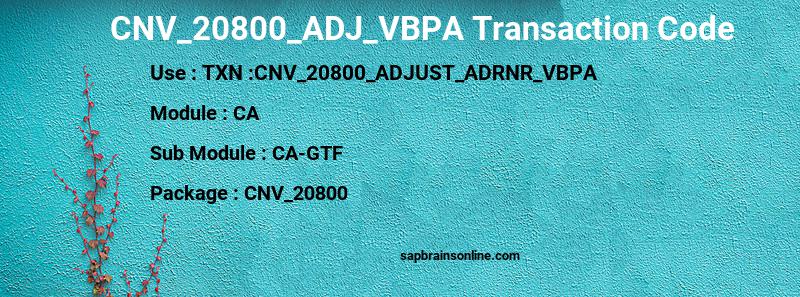 SAP CNV_20800_ADJ_VBPA transaction code