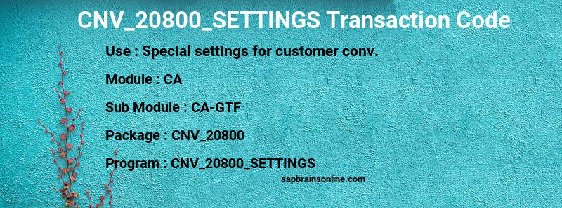 SAP CNV_20800_SETTINGS transaction code