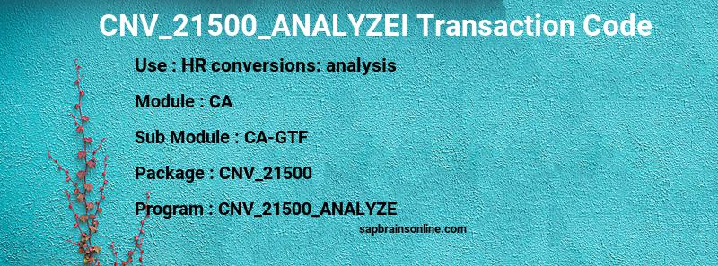 SAP CNV_21500_ANALYZEI transaction code