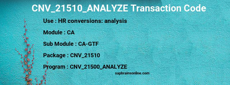 SAP CNV_21510_ANALYZE transaction code