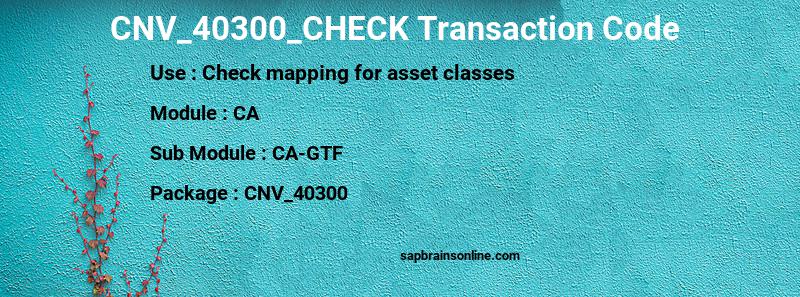 SAP CNV_40300_CHECK transaction code