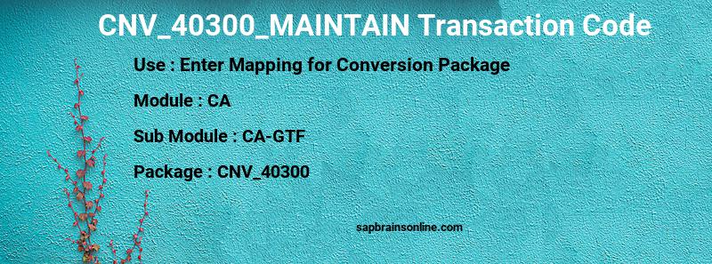 SAP CNV_40300_MAINTAIN transaction code