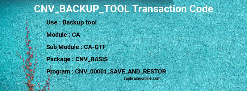 SAP CNV_BACKUP_TOOL transaction code