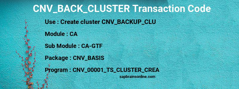 SAP CNV_BACK_CLUSTER transaction code