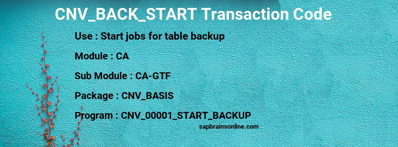 SAP CNV_BACK_START transaction code