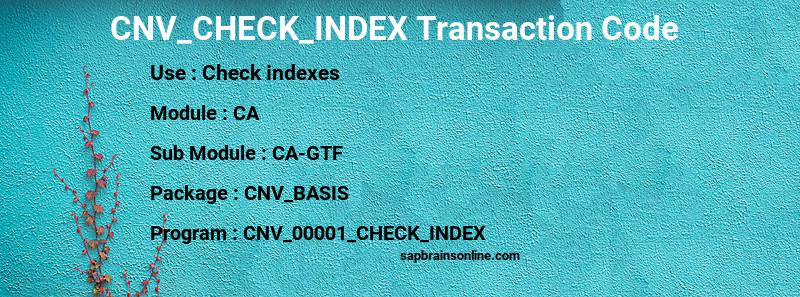 SAP CNV_CHECK_INDEX transaction code