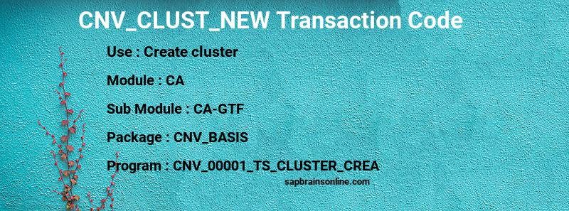SAP CNV_CLUST_NEW transaction code